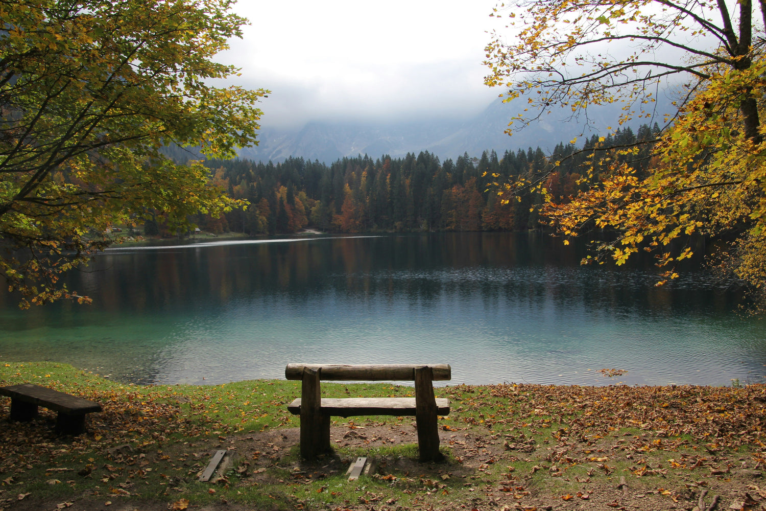 CALM